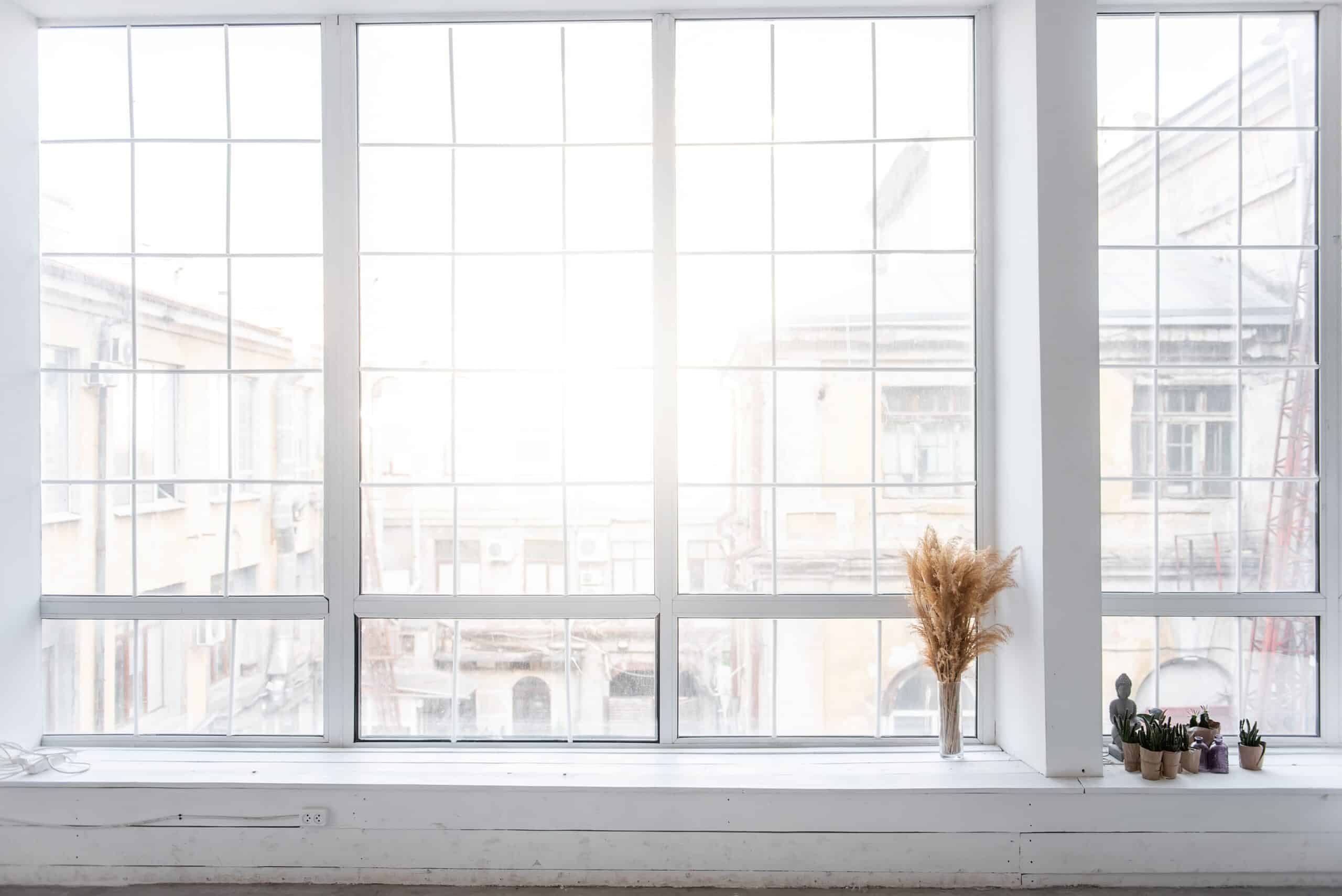 Große Fenster mit Sprossenteilung und Blick auf Altbauten, dekoriert mit Trockenblumen und Pflanzen auf der weißen Fensterbank – heller, wohnlicher Innenraum.